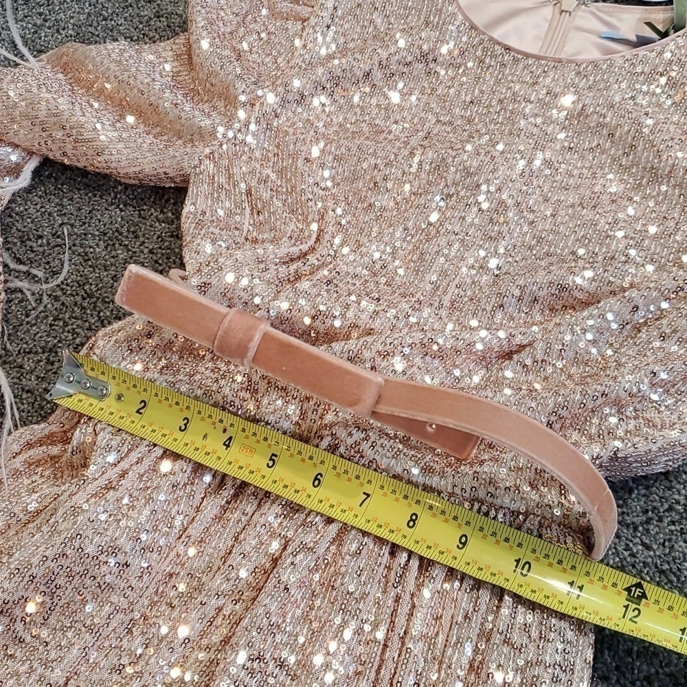 ANTONIO MELANI xNicola Bathie Nicola Sequin Belted Feathered A-Line 0 dress - Picture 11 of 16